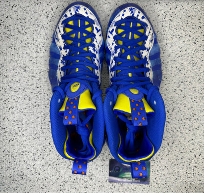 Nike Foamposite Doernbecher