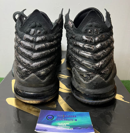 Nike Lebron 17 currency size 12men/13.5women