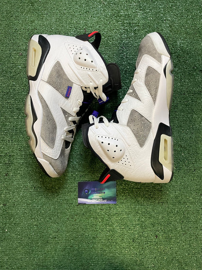 Air Jordan 6 LTR flint size 11men/12.5women