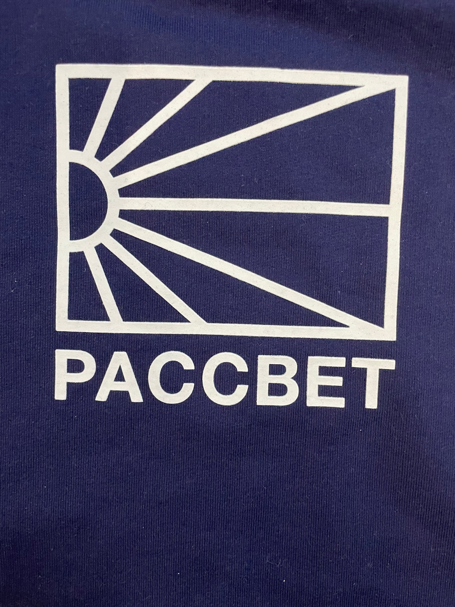 Rassvet Paccbet sun logo hoodie