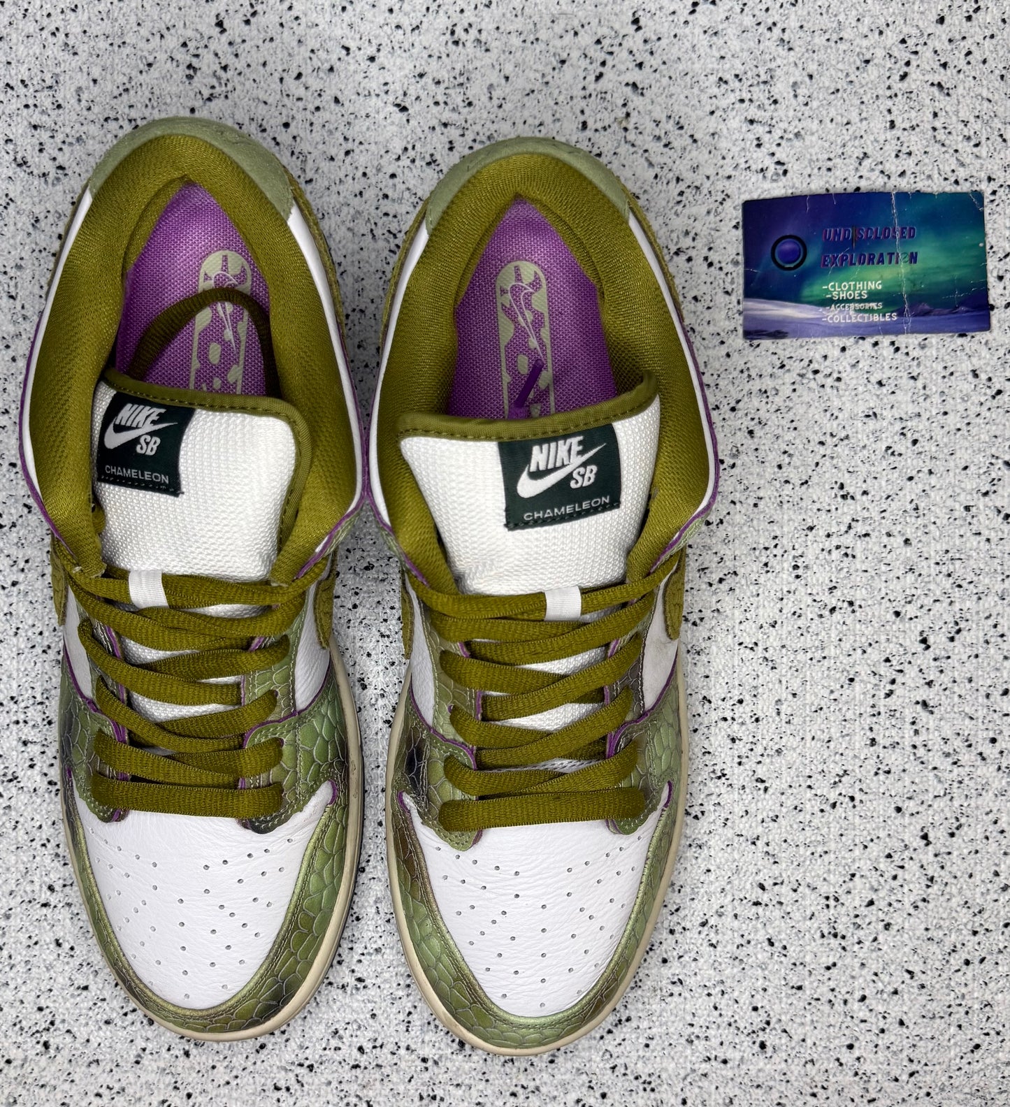 Nike Dunk SB Low Alexis Sablone Chameleon 10.5 Men/12 Women “Preowned”