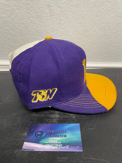 Vintage 1990s UW Washington Huskies Top Of The World Wave  Hat