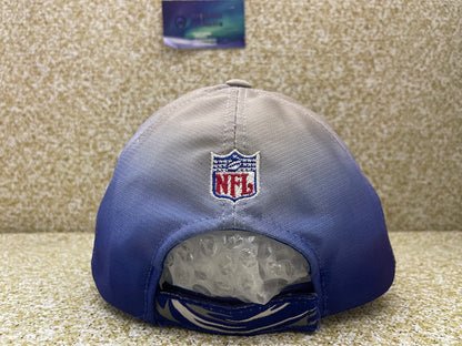 Vintage Seattle Seahawks Gradient Puma Hat