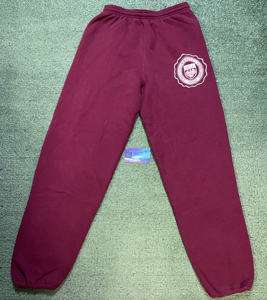 Vintage 1990s The University of Chicago sweatpants