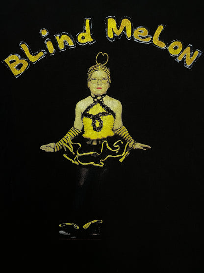 Vintage Blind Melon Crammed In A Van 1992-93 94 Tour tee