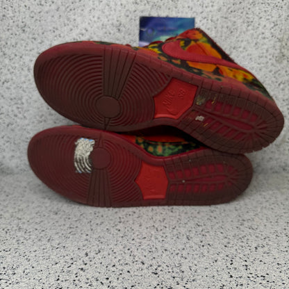 Nike Dunk SB Low Wizard of Oz 10 Men “Preowned”