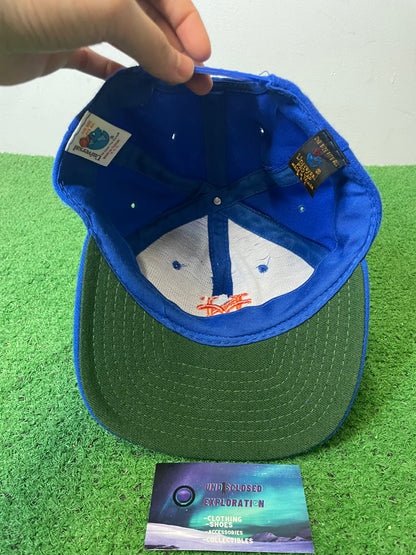 Vintage 1990s New York Mets MLB hat