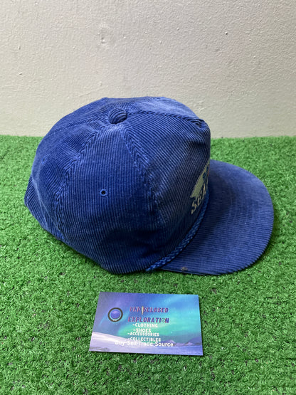 Vintage 1980s Seattle Seahawks  amapro corduroy hat