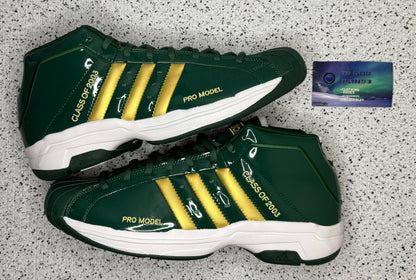 Adidas Pro Model 2G LeBron SVSM