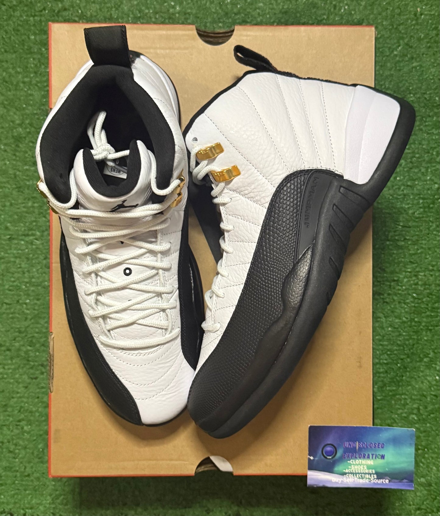Jordan 12 Taxi