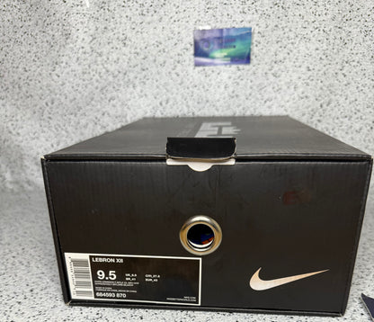 Nike LeBron 12 Six Meridians