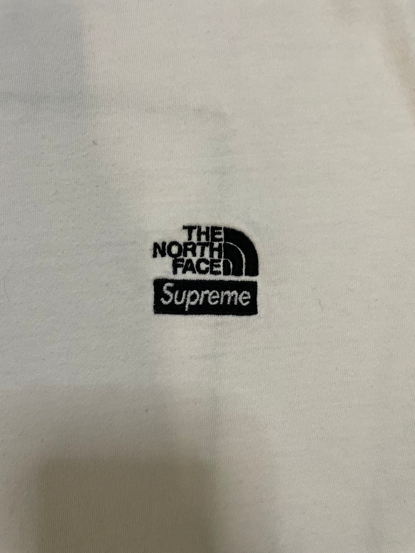 Supreme X the north face green bandana tee