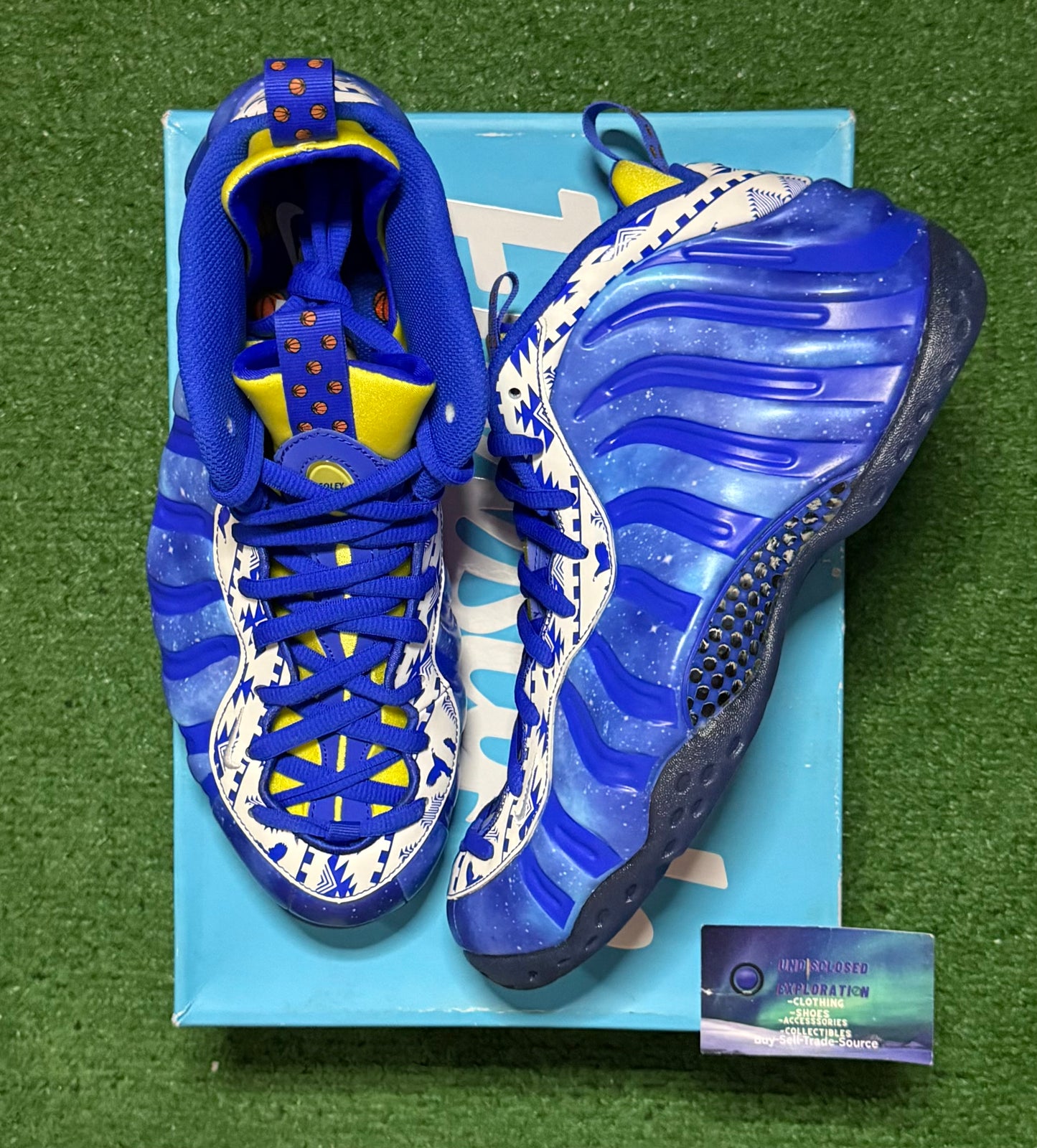 Nike Foamposite Doernbecher