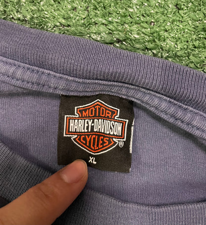 Vintage Harley Davidson flame longsleeve