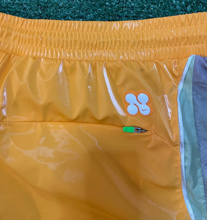 Nike project frog track pants