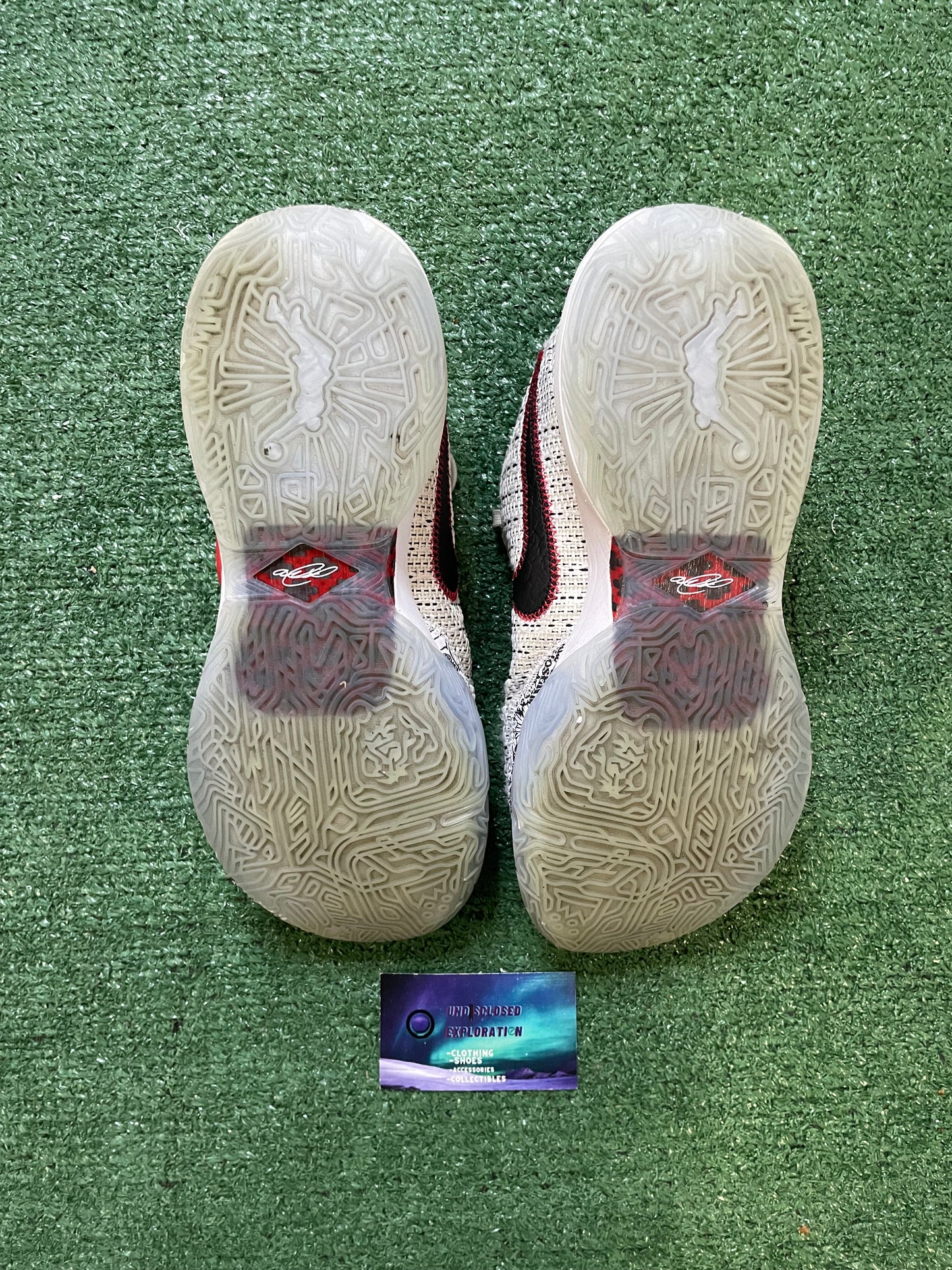 Nike LeBron 20 XX the debut size 10.5men/12women