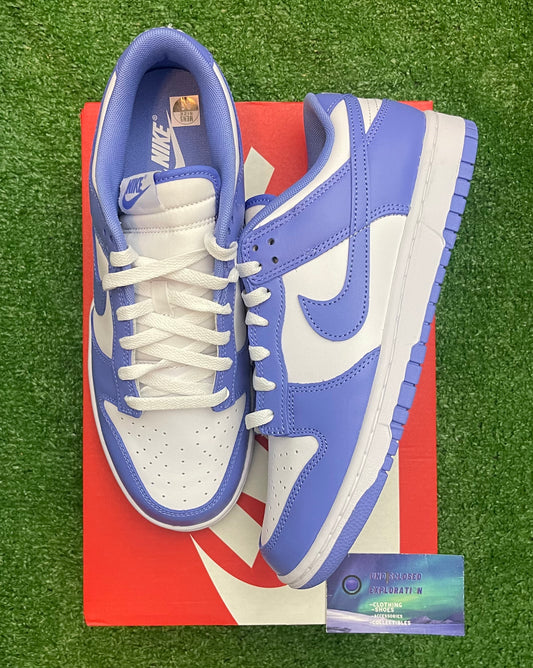 Nike Dunk Low Polar Blue