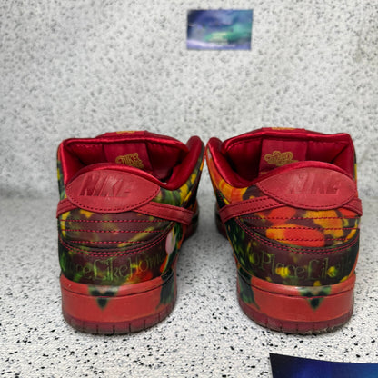 Nike Dunk SB Low Wizard of Oz 10 Men “Preowned”