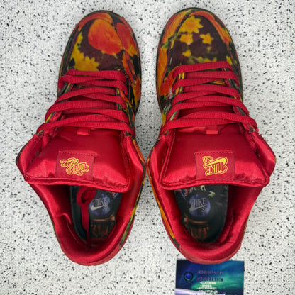 Nike Dunk SB Low Wizard of Oz 10 Men “Preowned”