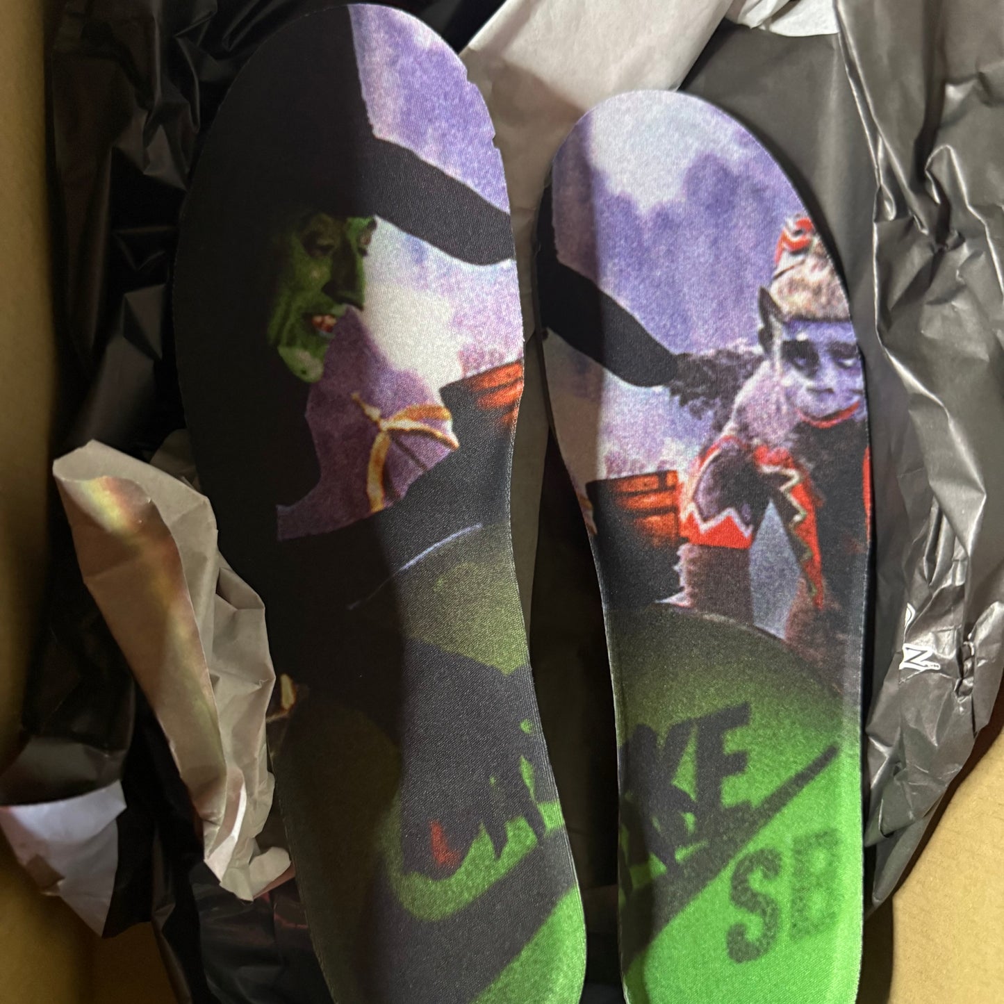 Nike Dunk SB Wizard Of Oz 10.5 Men “Preowned”