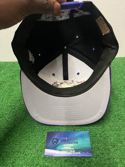 Vintage 1990s TAZ looney tunes hat