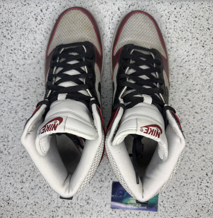 Nike Dunk High Redwood 11.5 Men/13 Women “Preowned”