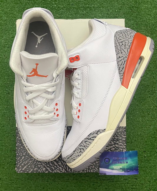 Jordan 3 Georgia Peach 10 Men/11.5 Women “Preowned”