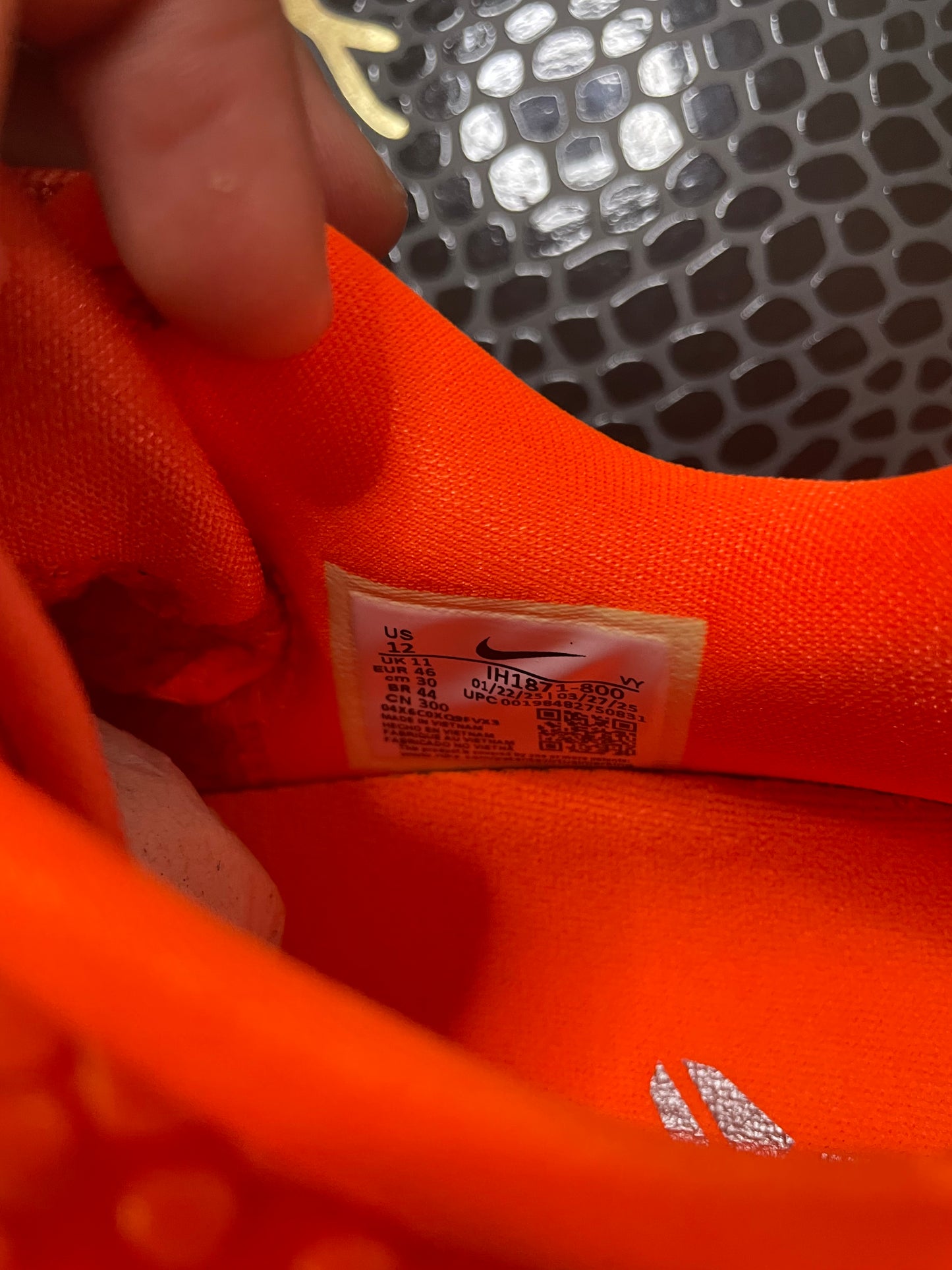 Kobe VI 6 total orange