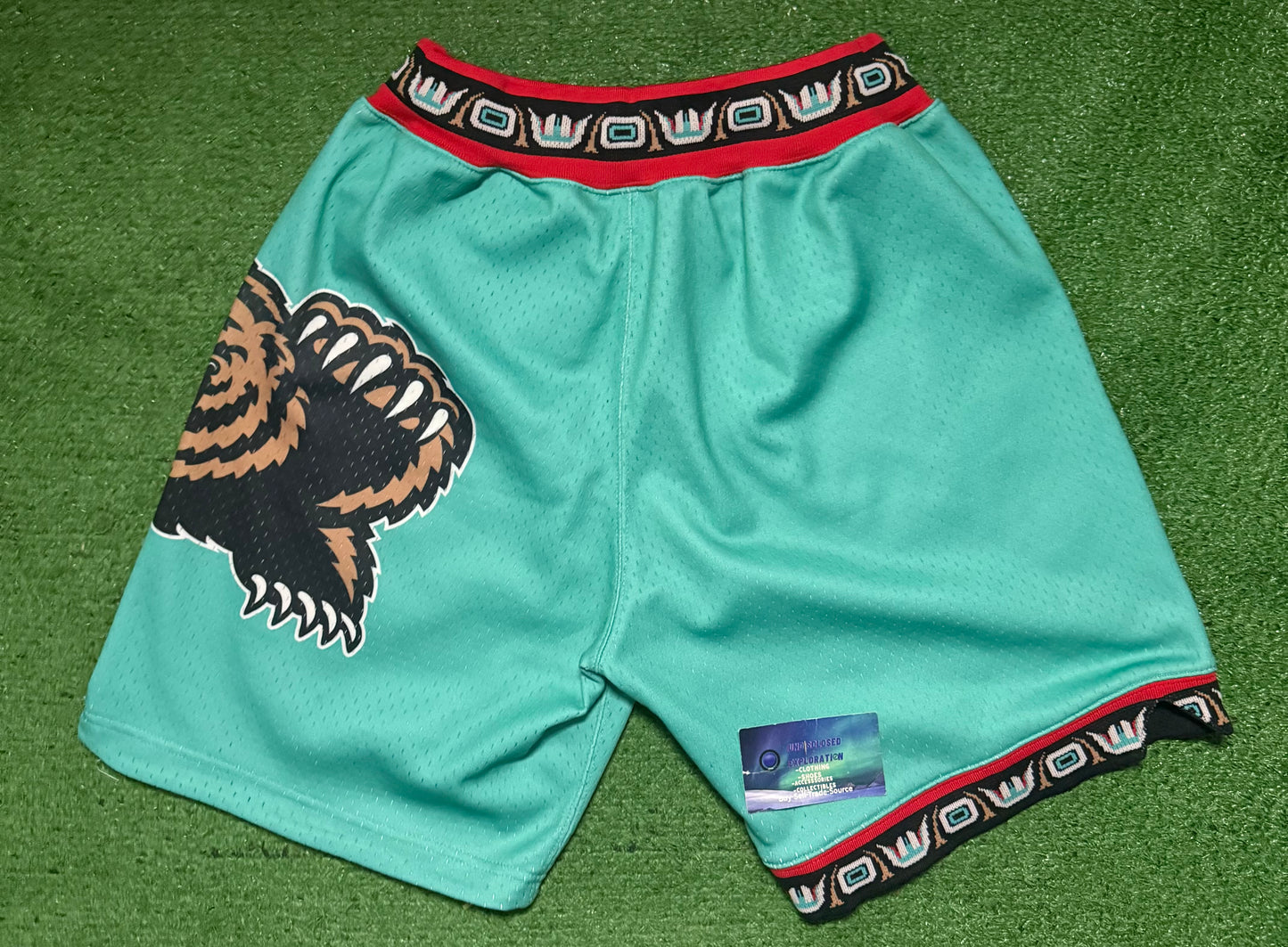 Vancouver Grizzlies Mitchell & Ness Shorts