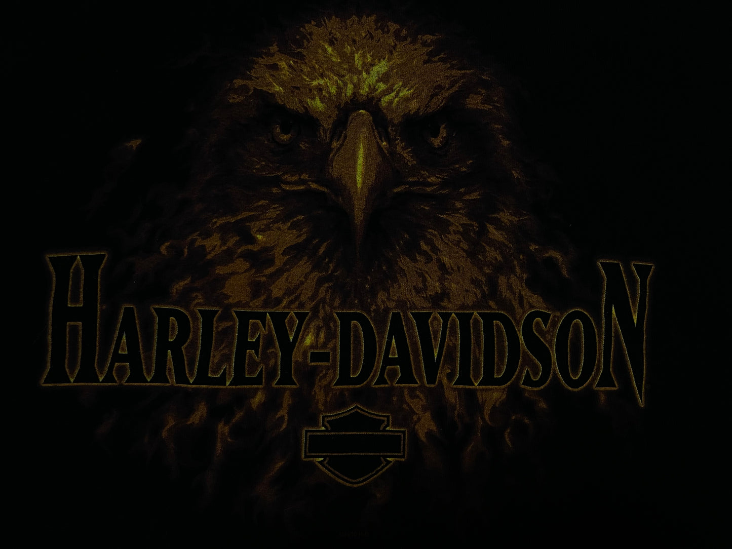 Vintage Harley Davidson eagle Texas tee