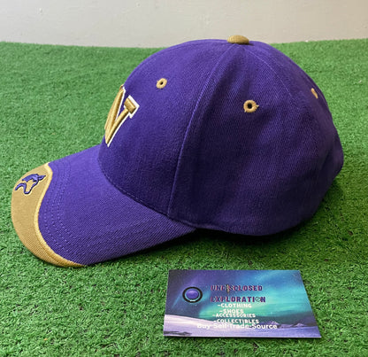 Vintage 2000s UW university of Washington embroidered hat