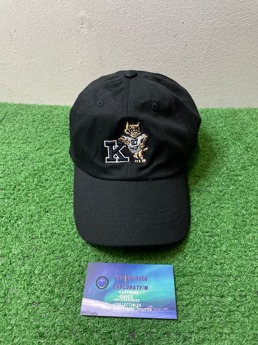 University of Kentucky wildcats title fight hat
