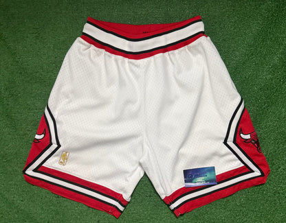 Chicago Bulls Mitchell & Ness Shorts