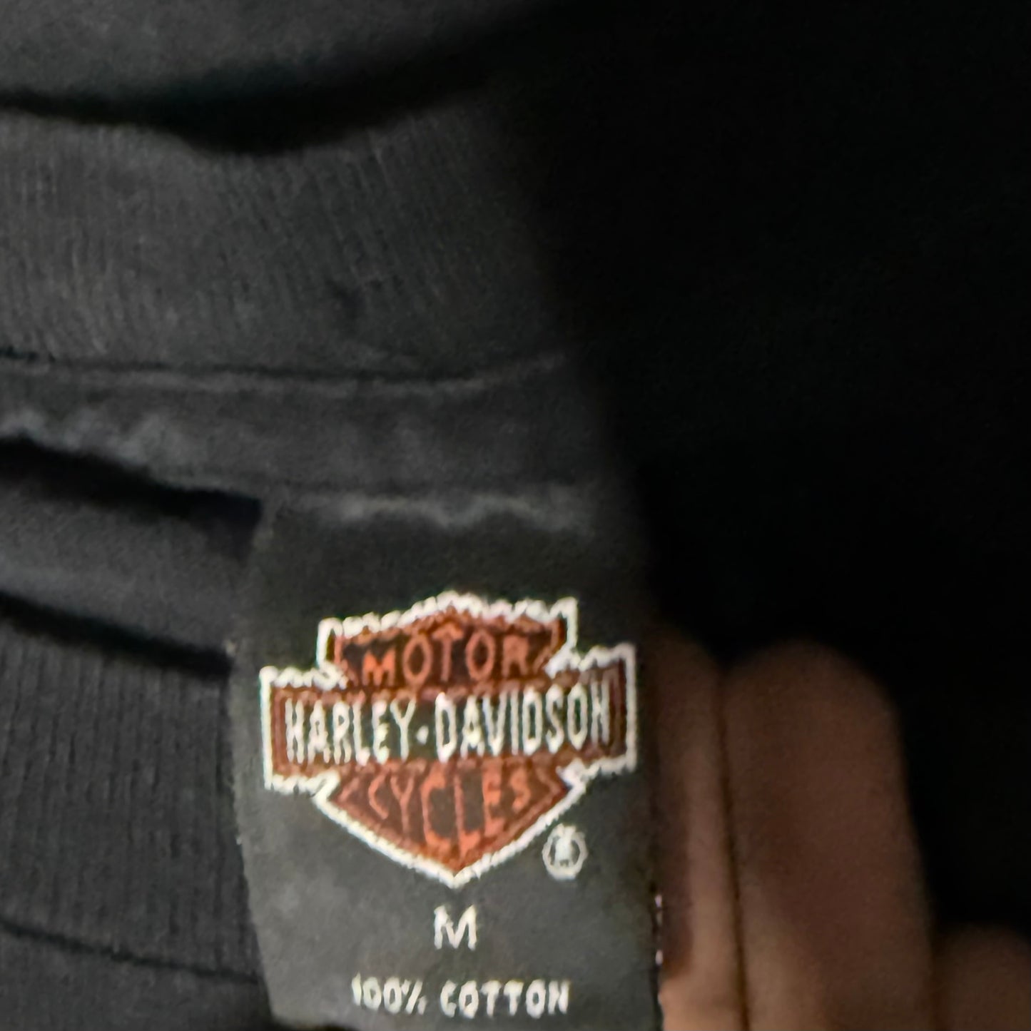 Vintage Harley Davidson Shirt