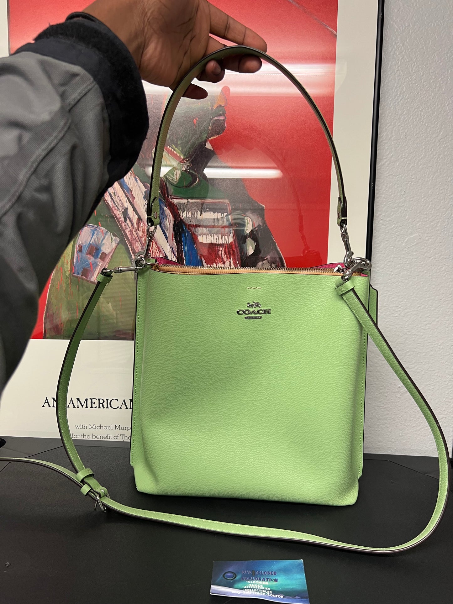 Coach Mollie Bucket Bag 22 in Pale Pistachio leather