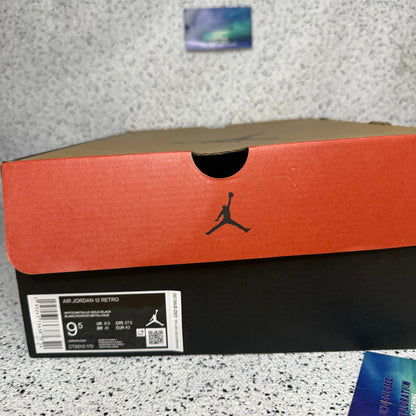 Jordan 12 Royalty Taxi