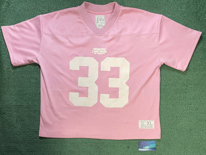 Memory Lane Park pink #33 mesh jersey
