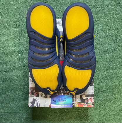 Air Jordan 12 Retro Michigan size 11men/12.5women