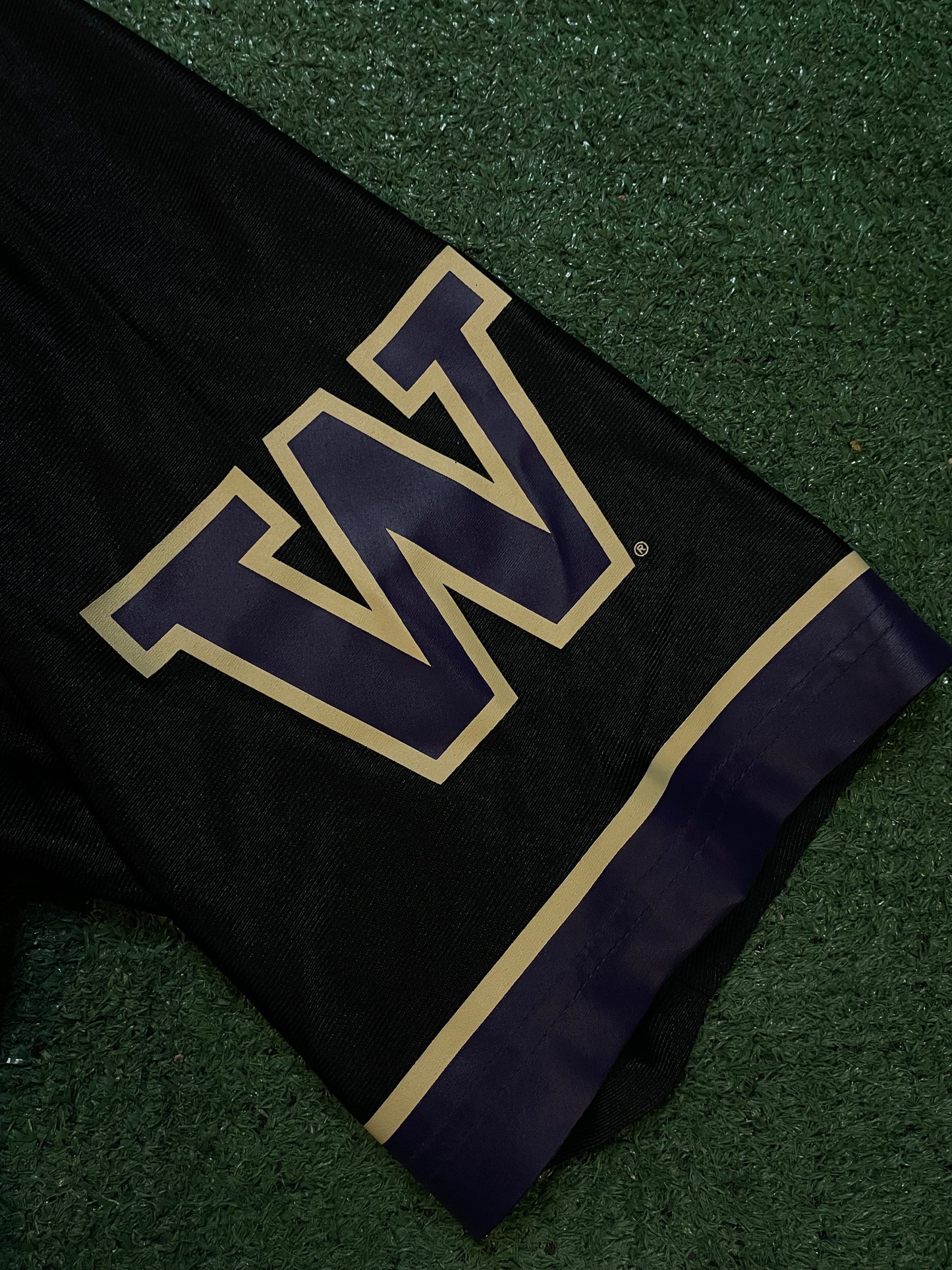 Nike University of Washington UW Huskies #10 jersey