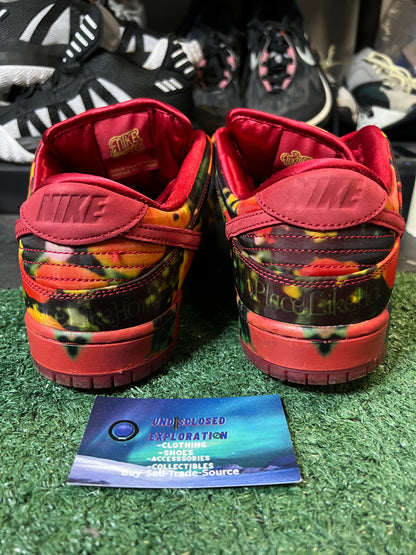 Nike SB dunk wizard of oz size 10.5men/12women