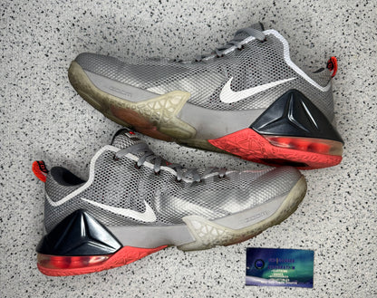 LeBron 12 Low Wolf Grey 12 Men/13.5 Women “Preowned”