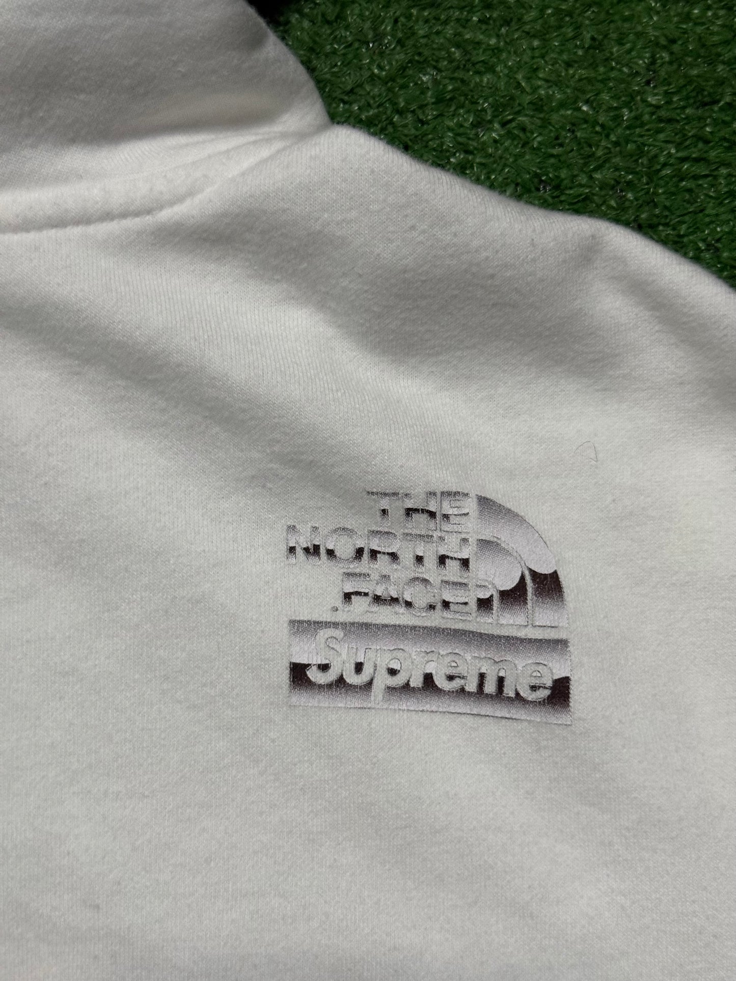 Supreme North Face Metallic Logo Hoodie