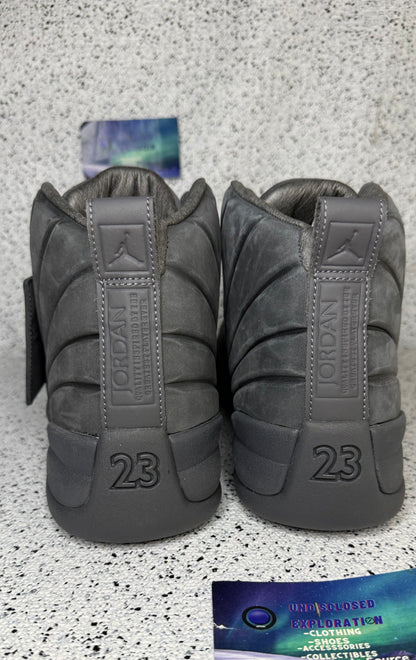 Jordan 12 PSNY