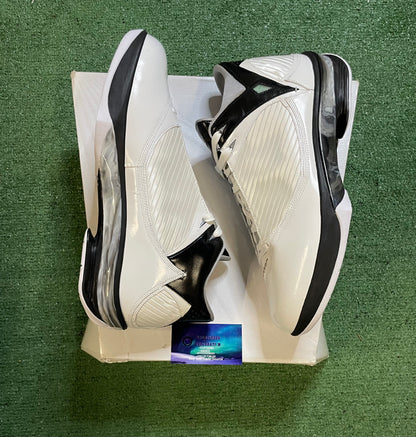 Nike Air Jordan 2009 white metallic silver