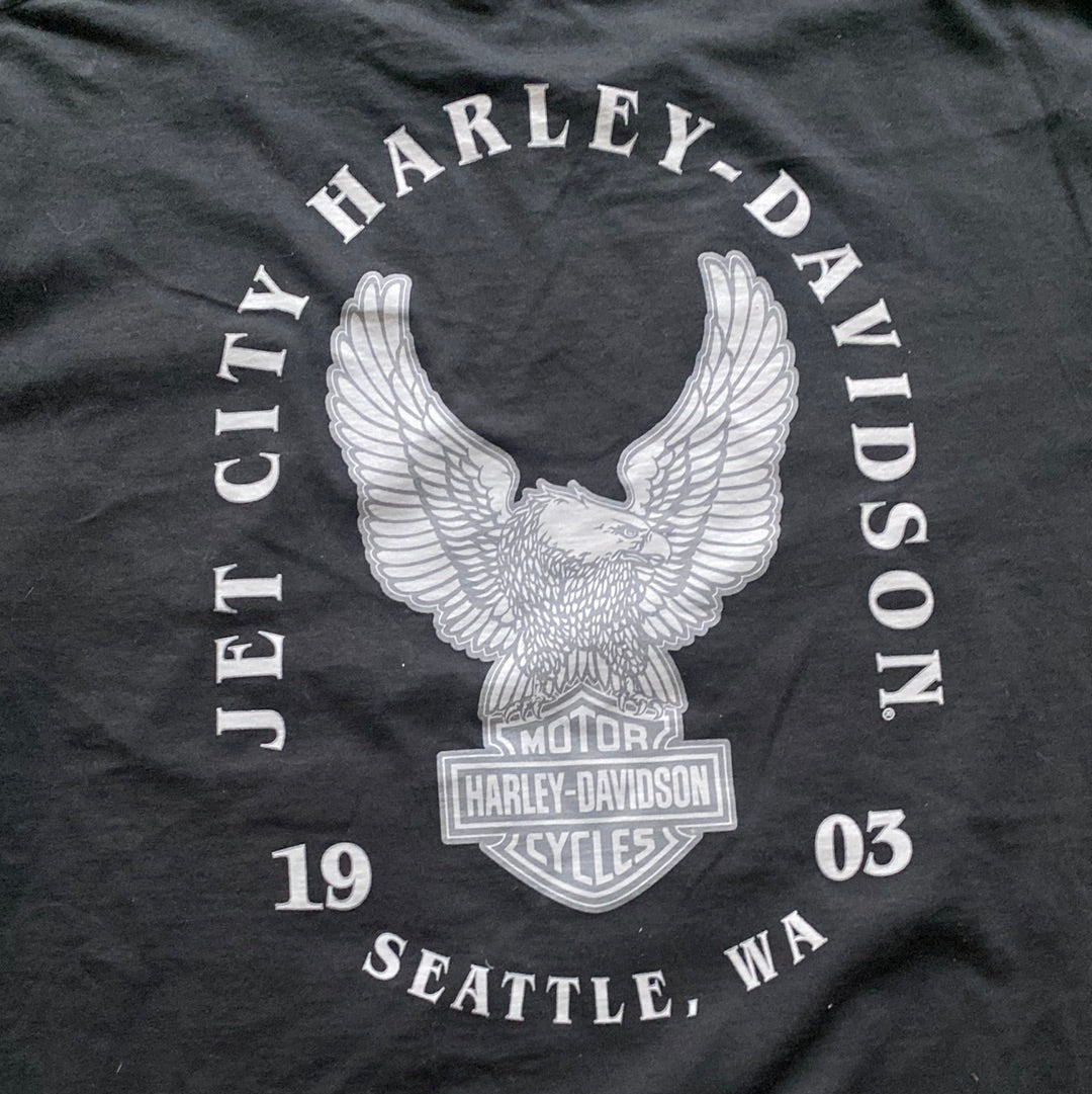 Harley Davidson Chrome sweet chrome tee