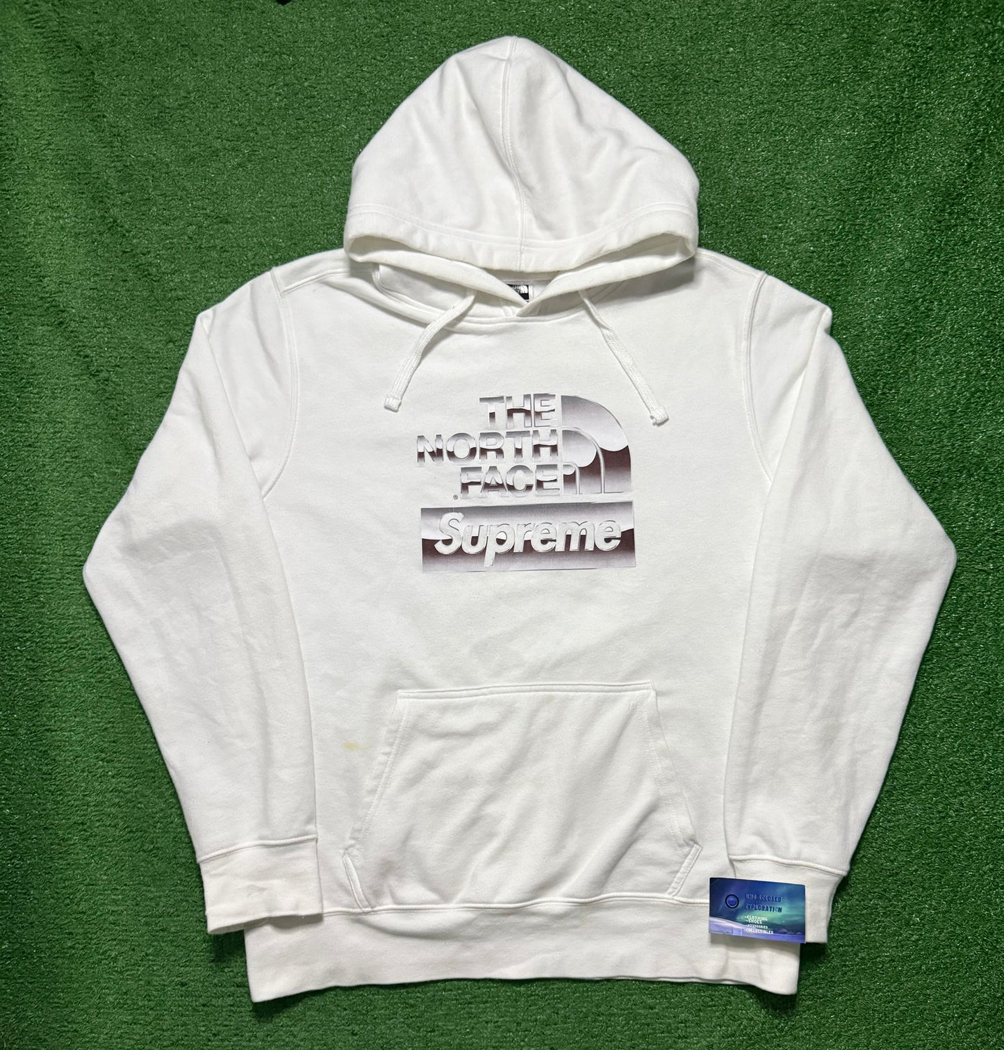 Supreme North Face Metallic Logo Hoodie