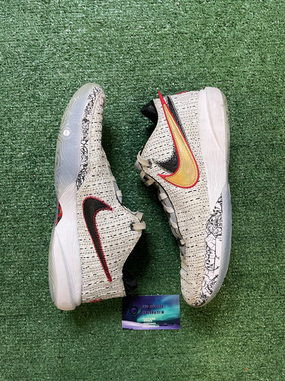 Nike LeBron 20 XX the debut size 10.5men/12women