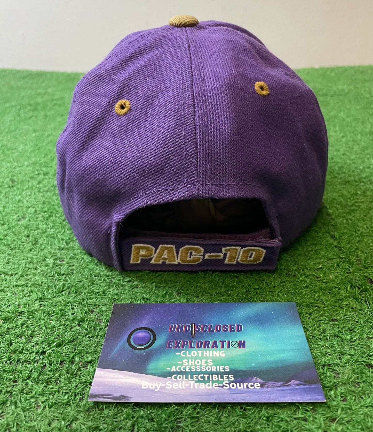 Vintage 1990s UW University of Washington huskies embroidered pac-10 hat
