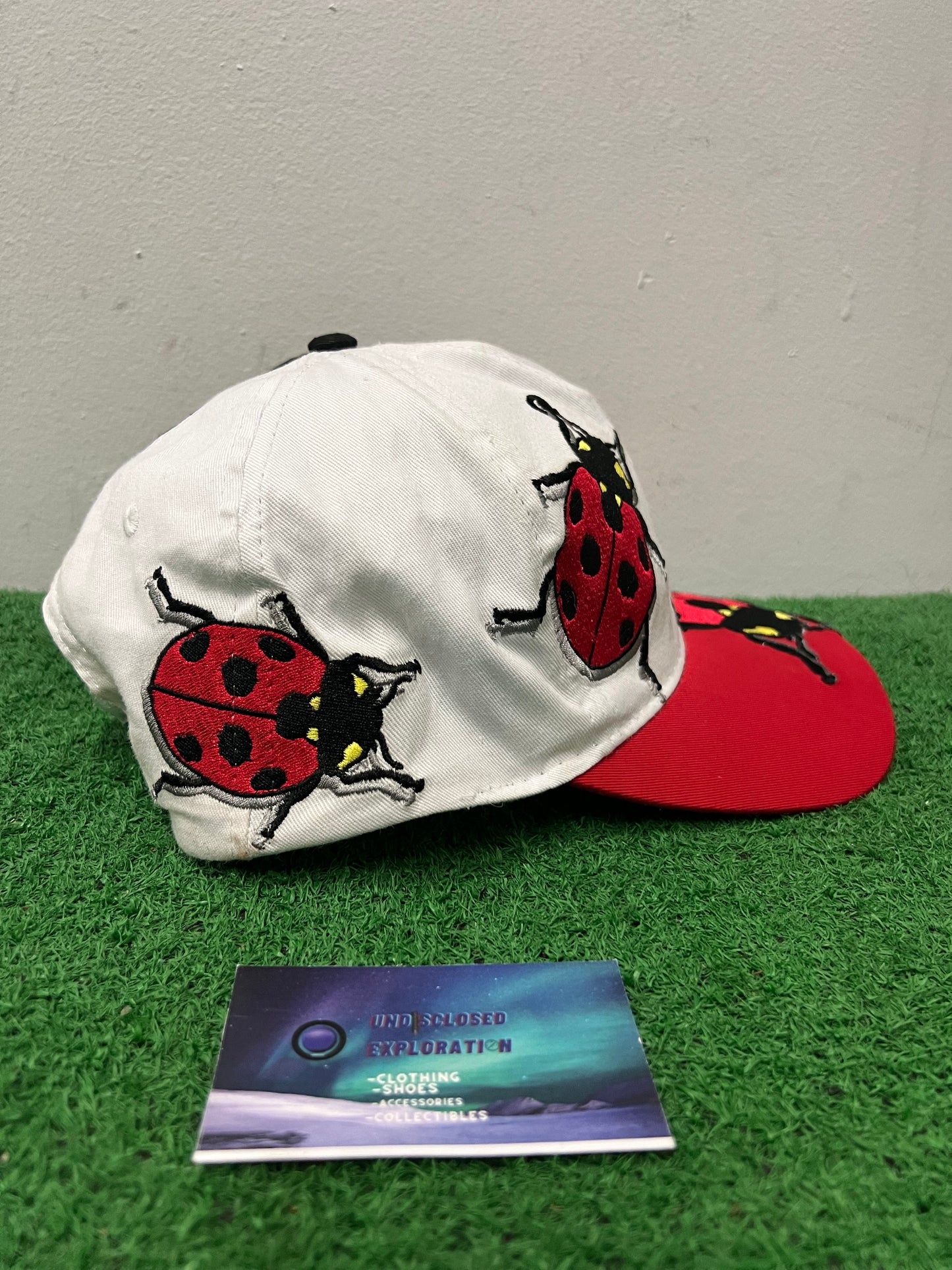 Vintage 1990s Lady Bug Embroidered hat