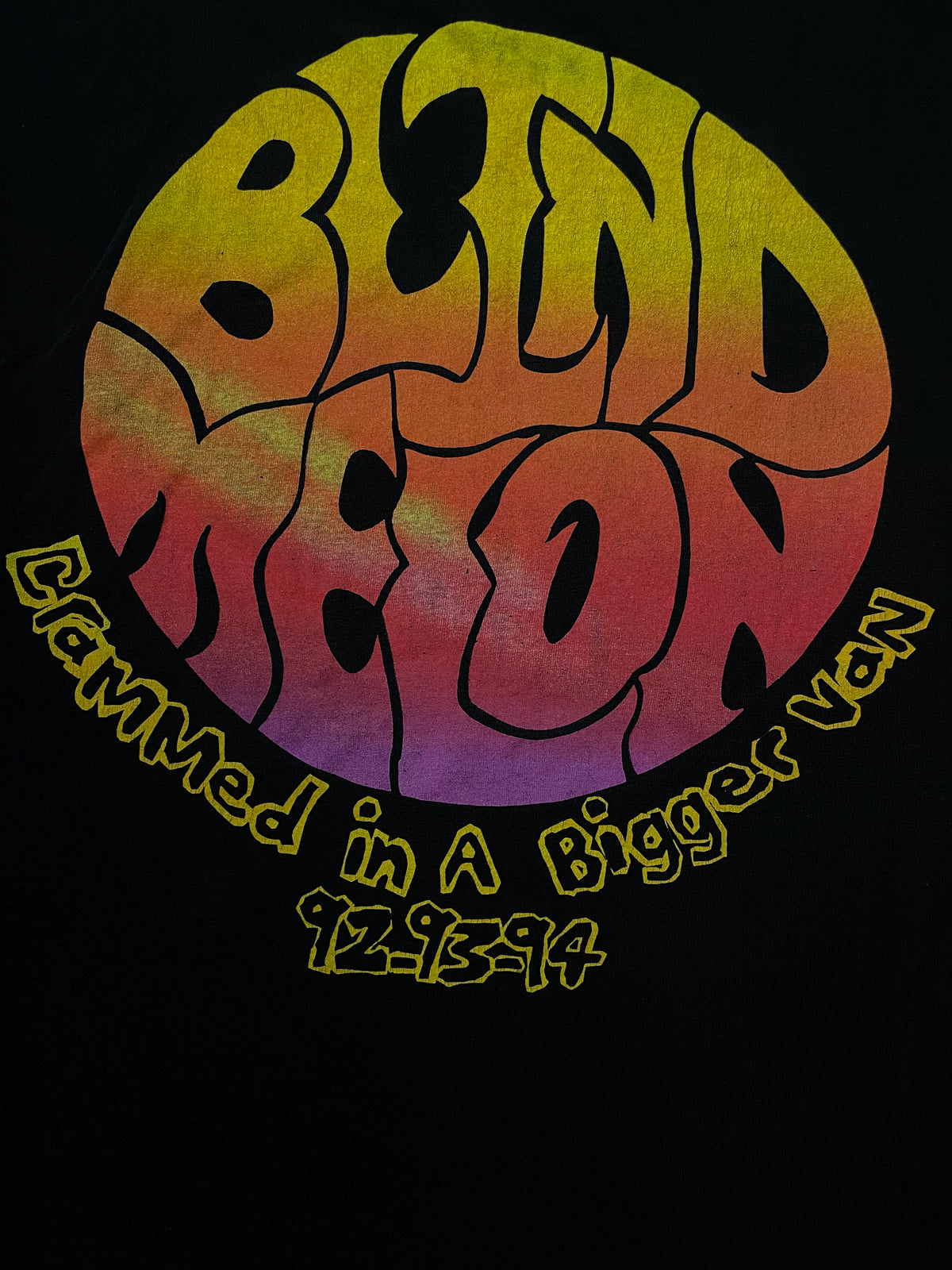 Vintage Blind Melon Crammed In A Van 1992-93 94 Tour tee